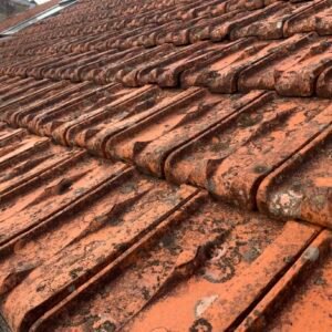 MASTER TOIT - Détergent fongicide concentré