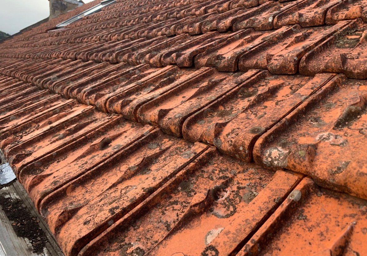 MASTER TOIT - Détergent fongicide concentré