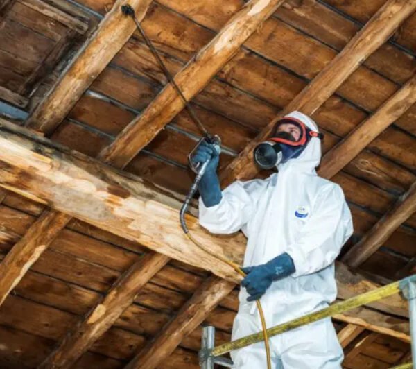 XYLO TECH - Traitement insecticide des bois - Usage professionnel - CURATIM IC4 – Image 2